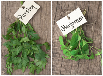 Similar image 6013842