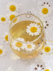 Similar image 6013851