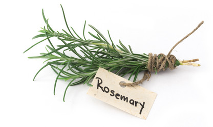 Similar image 6013854