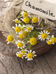 Similar image 6013859