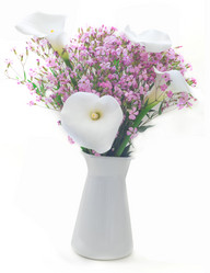 Similar image 6013900