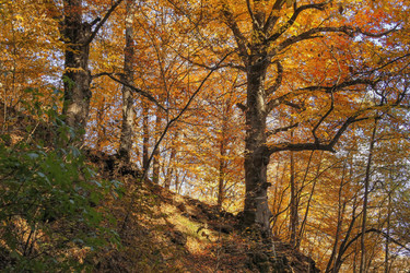 Similar image 6013908