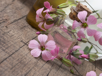 Similar image 6013909