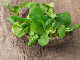 Similar image 6013914