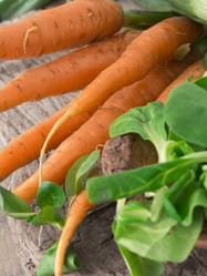 Similar image 6013918