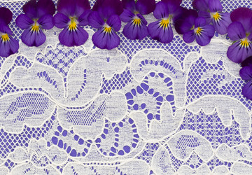 Similar image 6013921