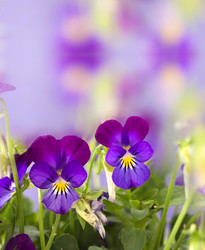 Similar image 6013924