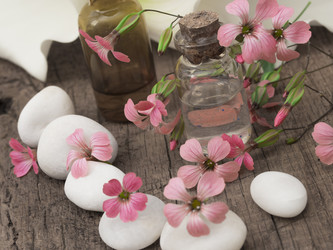 Similar image 6013935