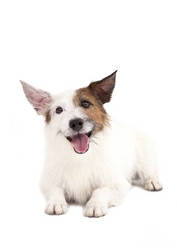 Similar image 6013948