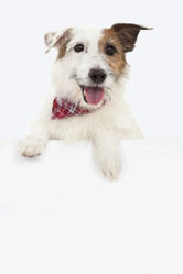 Similar image 6013949