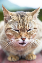 Similar image 6013961