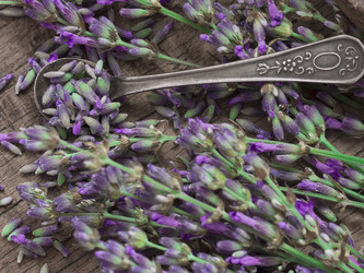 Similar image 6014207