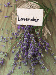 Similar image 6014212