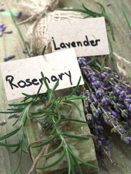 Similar image 6014213