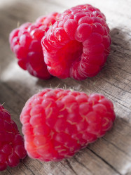 Similar image 6014221