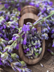 Similar image 6014237