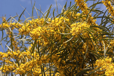 Similar image 6014246