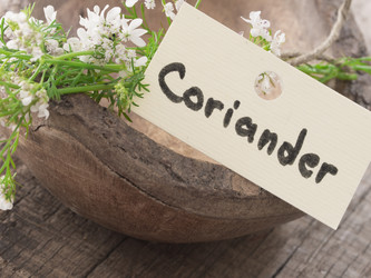 Similar image 6014249