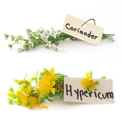 Similar image 6014250