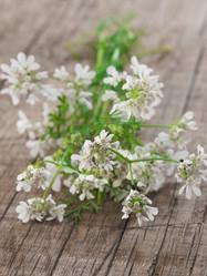 Similar image 6014251