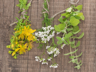 Similar image 6014252