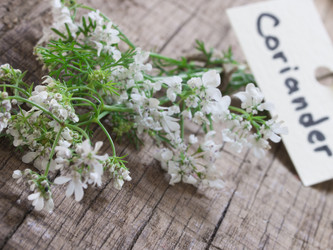 Similar image 6014261