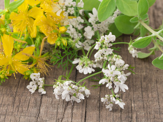 Similar image 6014262