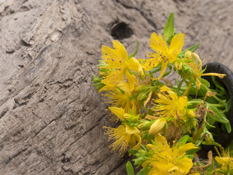 Similar image 6014264