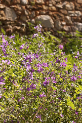 Similar image 6014296