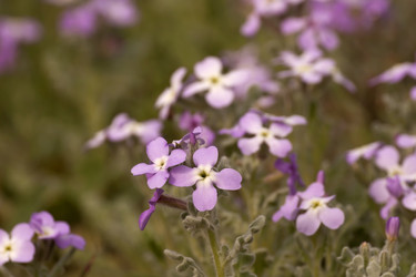 Similar image 6014297