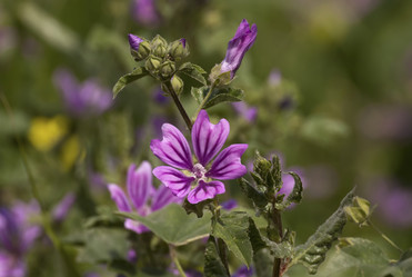 Similar image 6014298