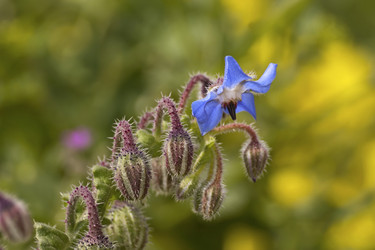 Similar image 6014301