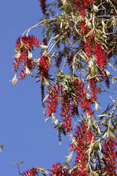 Similar image 6014302