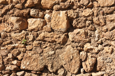 Similar image 6014303