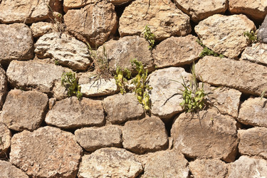 Similar image 6014304