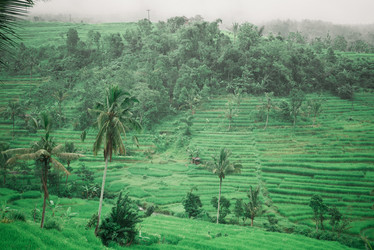 Similar image 6014392