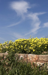 Similar image 6014421