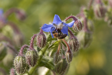 Similar image 6014425