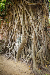 Similar image 6014471