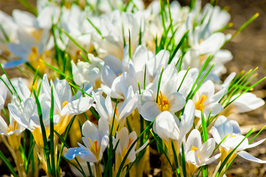 Similar image 6014483