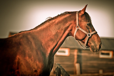 Similar image 6014606