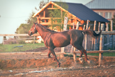 Similar image 6014607