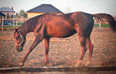 Similar image 6014608