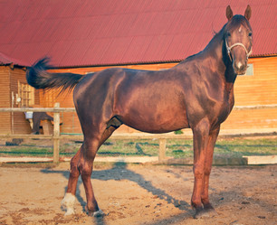 Similar image 6014610