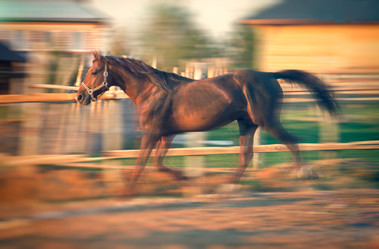 Similar image 6014611