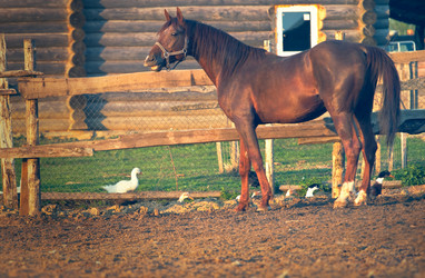 Similar image 6014612