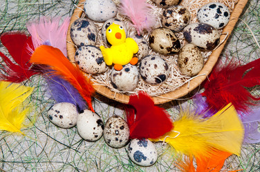 Similar image 6014796