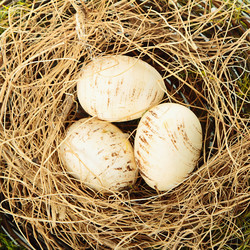 Similar image 6014967