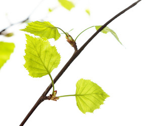 Similar image 6014977