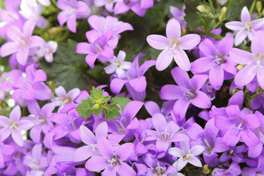 Similar image 6014978